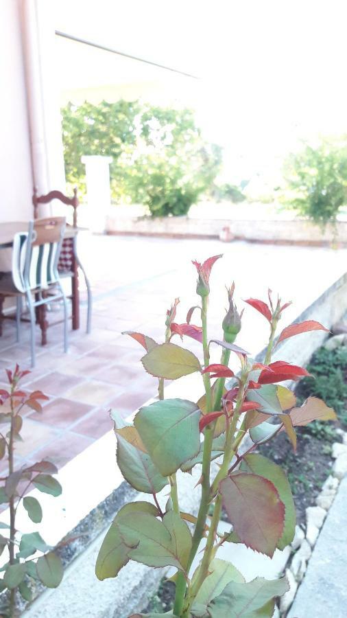 Country House Kefalonia Dhorizata Экстерьер фото